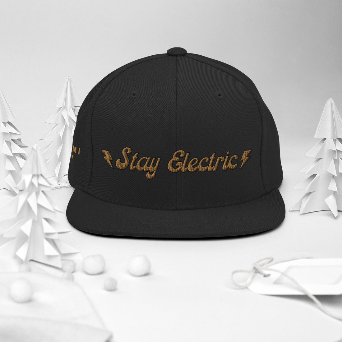 Stay Electric – Snapback Hat